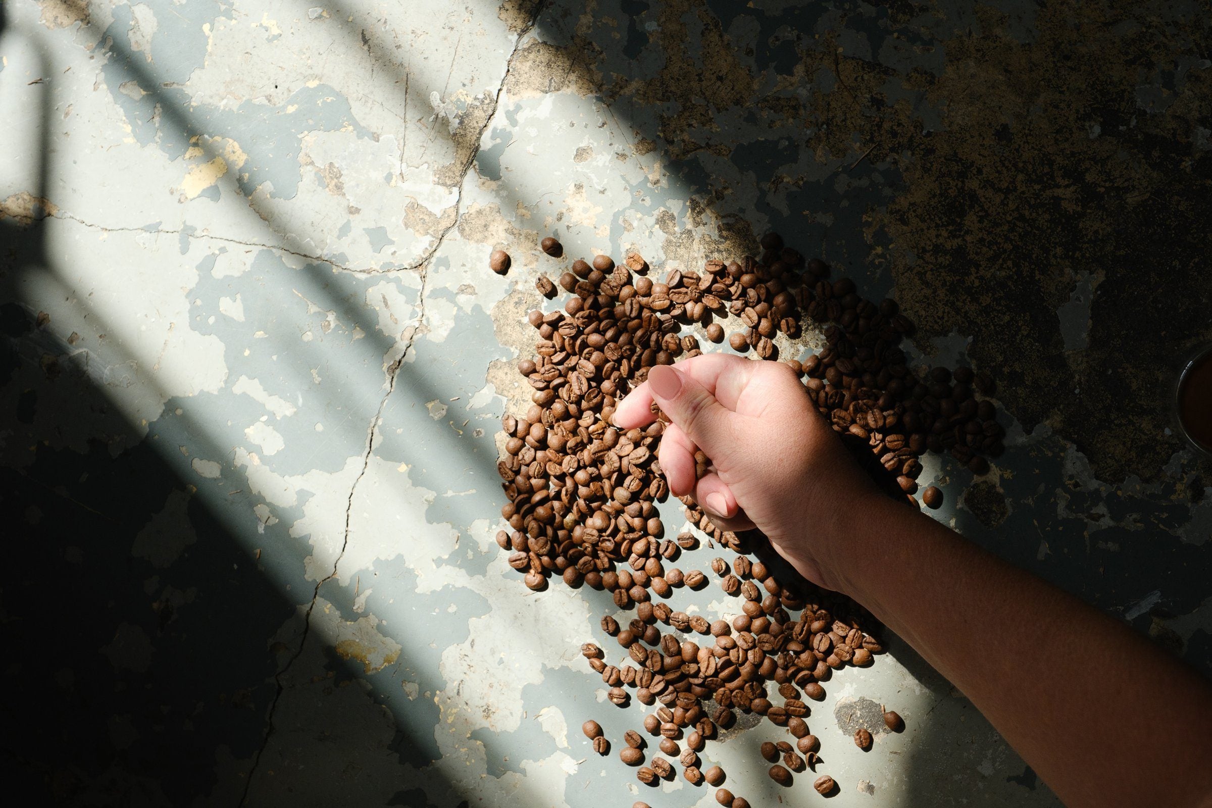 Una mano pasando entre un montón de granos de café tostados bajo una franja de sol