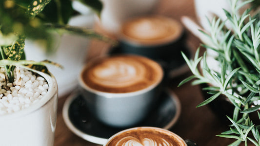 Specialty coffee latte art — superyacht coffee service by Onshore Roasters
